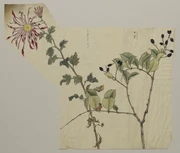 作品画像