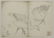 作品画像