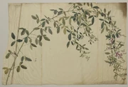 作品画像