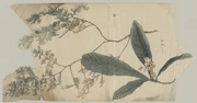 作品画像