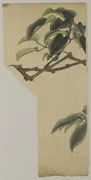 作品画像