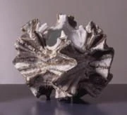 作品画像