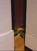 作品画像