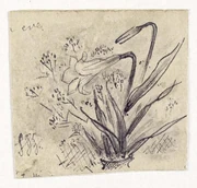 作品画像