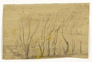作品画像
