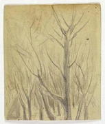 作品画像