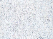 作品画像