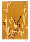 作品画像