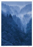 作品画像