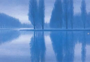 作品画像