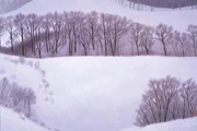 作品画像