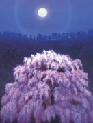 作品画像