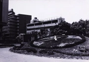作品画像