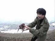 作品画像