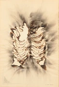 作品画像