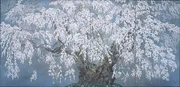 作品画像