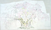 作品画像